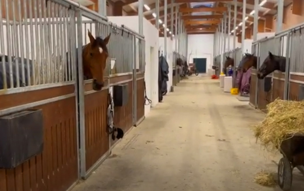 Rundtur inne i stallet