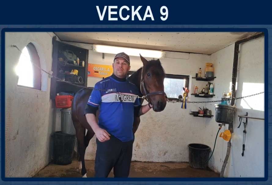 Fox reportage vecka 9