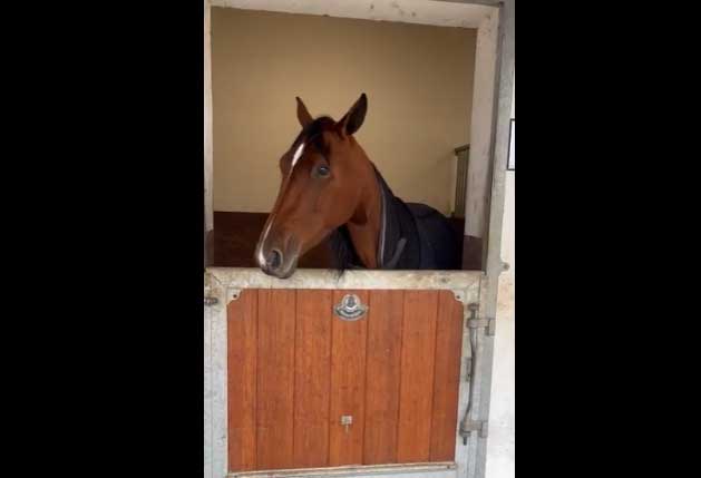 STALLRUNDA PÅ KÄMPARP II