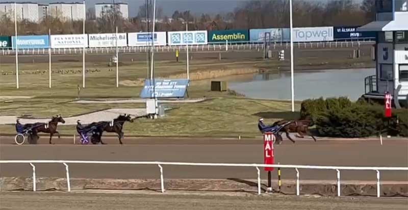 Heatlopp Jägersro 27/3 2023 Oscar LA, Digital Summit, Lady Beluga