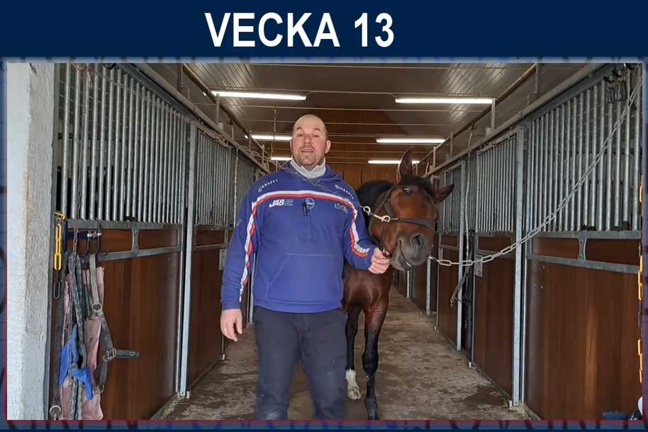 Fox sammanfattning v13. Lady Beluga och Oscar L.A. på Jägersro