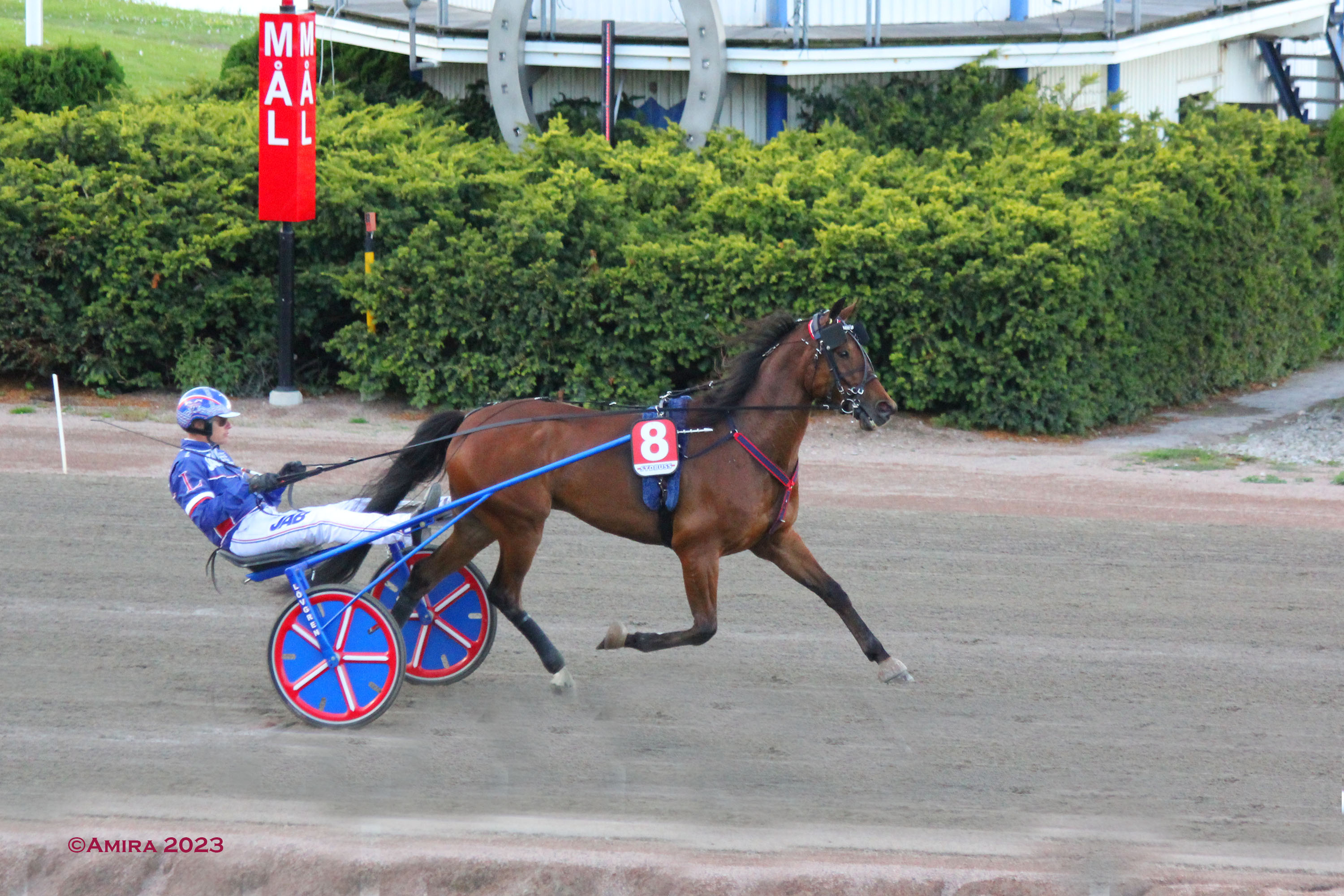 Under Armour - Seger Jägersro 1/8