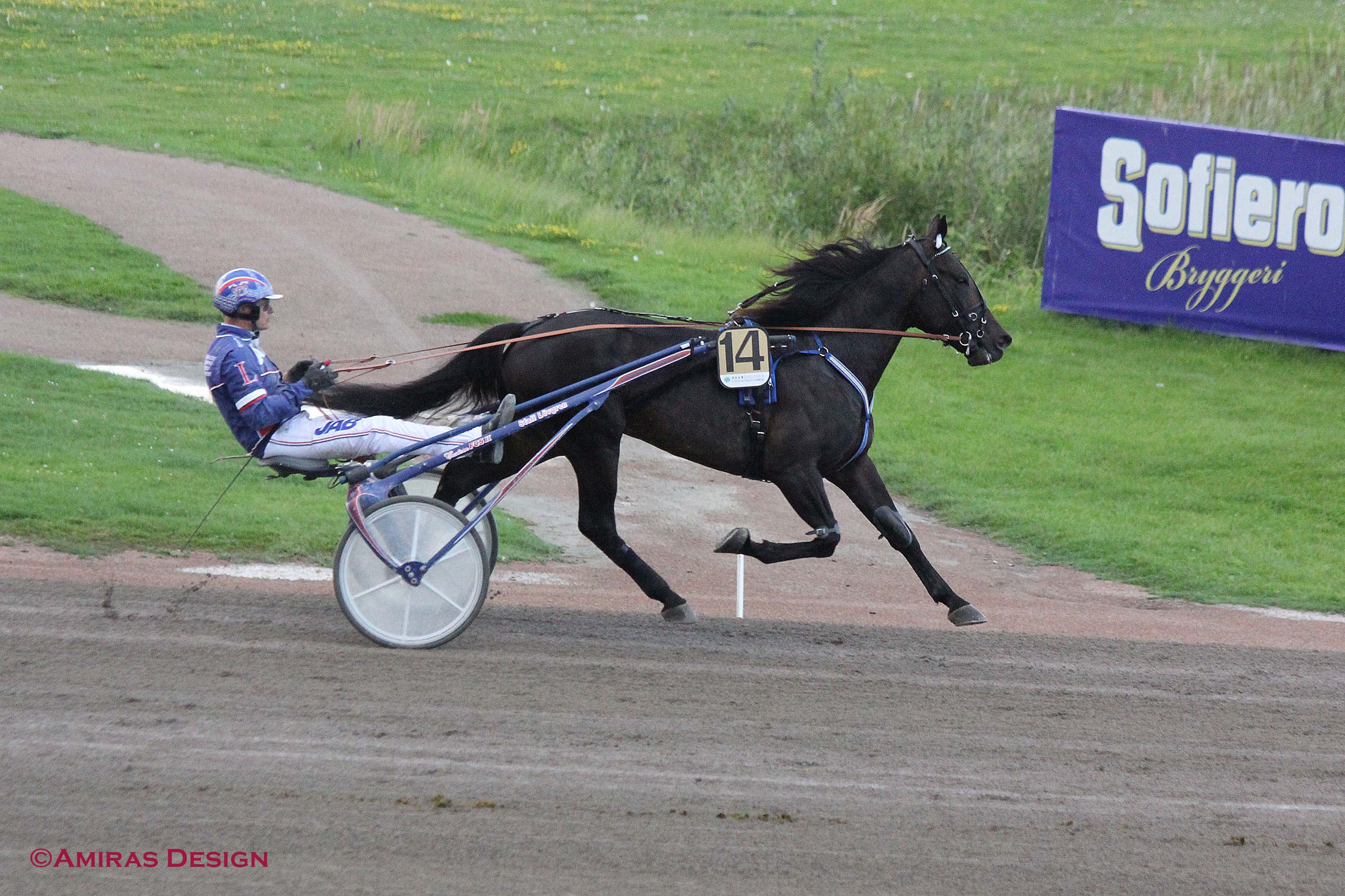 Steady Roger Seger Jägersro 1/8